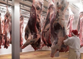 La faena argentina dejó de crecer en los últimos doce meses