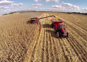 La producción parcial acumulada de maíz es de 28 millones de toneladas luego de cosecharse el 53,1 % del área apta