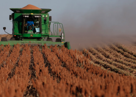 Luego de recolectarse más de 466.000 hectáreas a lo largo del país, el sorgo obtiene un rinde medio de 38,3 qq/ha. 