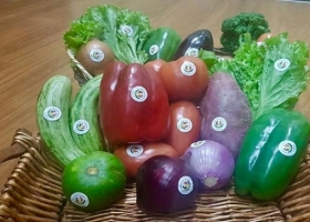 Se otorgó el primer sello "Producido por la Agricultura Familiar" a hortalizas mendocinas