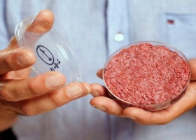 Qué oportunidades tiene la carne sintética en el mercado argentino