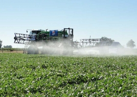Argentina prohíbe el uso de 2,4-D en formulaciones ésteres a partir de julio de 2021