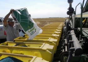 Gracias al SISA el Inase ahora cuenta con una súper base de datos para detectar a productores que siembran semilla ilegal: cómo funciona