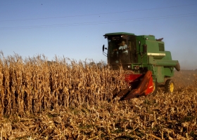 Chaco: Extienden hasta 2020 la emergencia agropecuaria