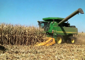 El rinde medio de maíz a nivel nacional es de 85,5 Qq/Ha lo que permite acumular a la fecha un parcial de 37 Millones de toneladas del cereal