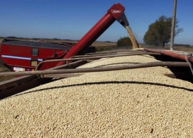La devaluación redujo fuerte el peso de las retenciones, pero tendrá efectos negativos para el campo.