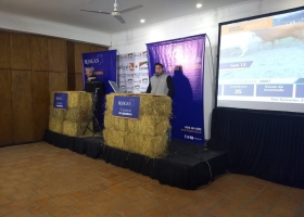 Gracias a la inestabilidad económica llegó el aguinaldo para los criadores: explotaron los precios de la vaca gorda