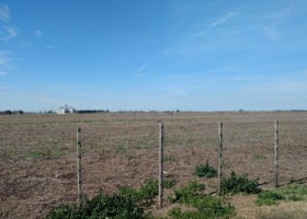 Continúa el frío y la ausencia de lluvias en la zona núcleo