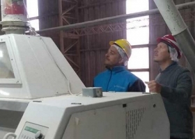 Continúan los operativos para blanquear el volumen de molienda 