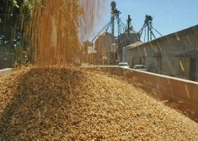 El crushing de soja se afirma en Julio logrando su mejor marca desde 2015