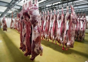 Condiciones y requisitos sanitarios para la exportación de carne vacuna a China
