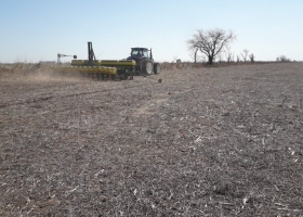 Siguen sin aparecer perspectivas de precipitaciones en las zonas agrícolas necesitadas de agua