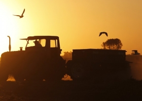 Gracias al aporte adicional del agro argentino la recaudación nacional apenas cayó un 4% en lo que va del año