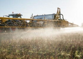 Pergamino: evalúan apelar una cautelar que limitó el uso de agroquímicos