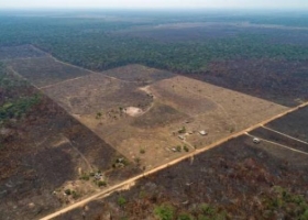Cómo los incendios en la Amazonia pueden afectar al trigo de la Argentina