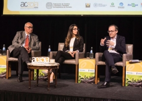 Proteína en soja: el próximo default argentino