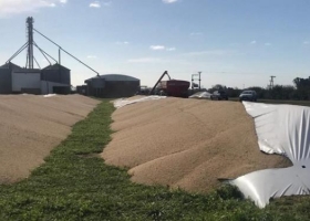 La respuesta del Gobierno frente a los ataques a silo bolsas
