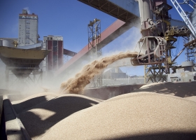 Acuerdo histórico: Argentina ingresará a China con su Harina de Soja