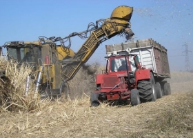 Presentaron un nuevo biocombustible a base de desechos de caña de azúcar