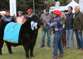 LN Ganadera consagró a los terneros Angus y tuvo un primer remate con precios firmes