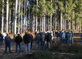 Por primera vez desde el inicio del régimen de promoción se regularizaron los pagos de subsidios forestales gracias al aporte de los propietarios de vehículos
