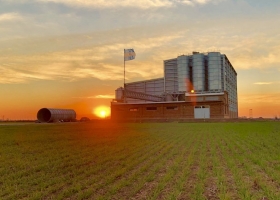 Trigo: los molinos se preparan para llegar con poco stock a la nueva cosecha