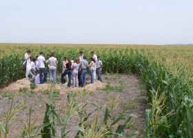 Implementan un “plan de acción” para promover el desarrollo de bioinsumos de uso agropecuario