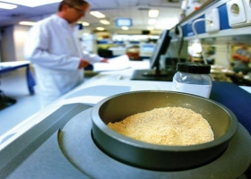 Biotecnología: proyectos argentinos que pueden cambiar la forma de producir