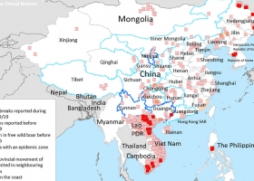 Un mapa muestra que la fiebre porcina se apodera del sudeste asiático