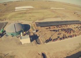 Las Bolsas de Cereales y Comercio de todas regiones productivas se propusieron crear un mercado argentino de bonos de carbono