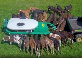 Un “dispenser móvil” de leche es la novedad para alimentar a 30 terneros al mismo tiempo