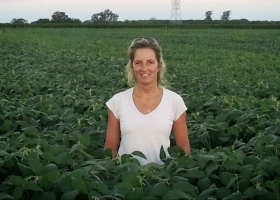 Córdoba: así se aplican las buenas prácticas agrícolas en un campo de 800 hectáreas