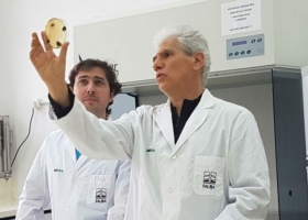 Por primera vez en el mundo. La Fauba y el INTA describen el genoma de un patógeno clave de la soja