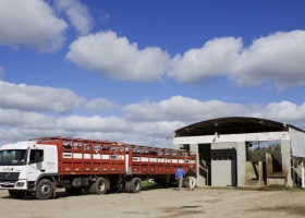 Menos burocracia: más del 60% de los certificados para transportar hacienda ya se gestionan por vía digital