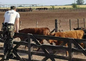 Según el Censo Agropecuario. Casi el 20% de los campos sufrieron hechos de inseguridad