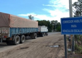 Aseguran que circulan más de 2 mil camiones escalables nacionales