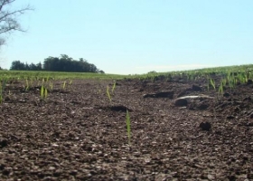 Santa Fe presentó una plataforma digital para preservar los suelos