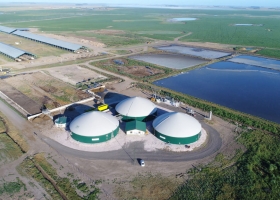 La súper devaluación promovió importantes pérdidas en los balances de Mastellone Hnos y la unidad láctea de Adecoagro