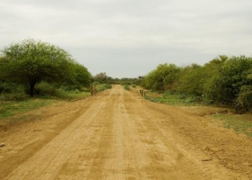 Un estudio inédito del INTA será clave para la conservación de caminos rurales