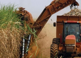 Biocombustibles: aumentan un 14% el biodiésel e igualan el valor del bioetanol de caña y maíz