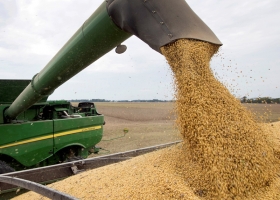 Coberturas para todos: en apenas una semana los productores argentinos vendieron 4,68 millones de toneladas de la cosecha 2019/20
