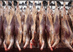 Sorpresa sanitaria: planean recusar la restricción rusa al ingreso de carne argentina