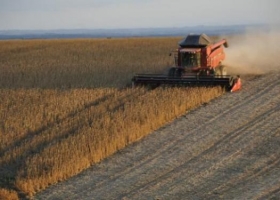 Informe del Usda con pocas novedades