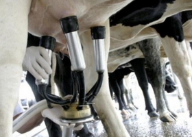 Alberto Fernández aseguró que “el productor de leche no tiene nada de insumos en dólares”: pero no es cierto