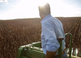 Productores de girasol: las otras víctimas del default de Vicentín