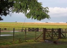 Se aleja el fantasma de la sequía