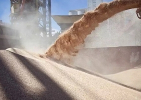 En 2019 subió casi 5% la exportación de harina de trigo y aportó US$300 millones