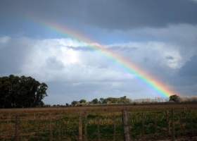 Las lluvias serían ideales para la cosecha de la gruesa y la siembra fina