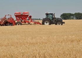 Santa Fe: maíz y soja se desarrollan a buen ritmo y en estado bueno a muy bueno