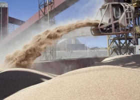 Damnificados por el default de Vicentin buscan acercar una propuesta a la empresa